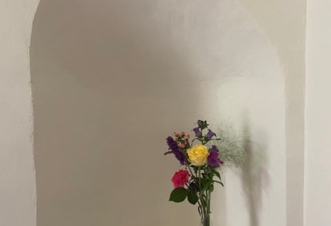 2024 bloemen in nis zendo