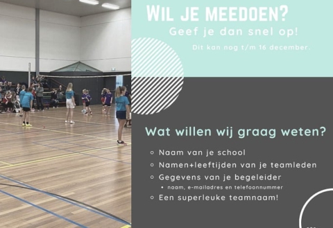 Schooltoernooidynamiekvolleybalbanner1