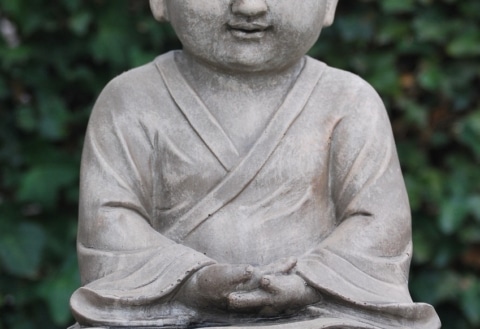 buddha in mudra houding